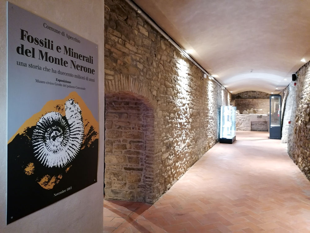 Museo dei Fossili Minerali del Monte Nerone